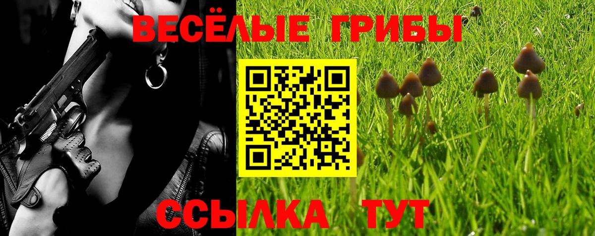 Галлюциногенные грибы ЛСД  Вход с VPN  Нижний Тагил 