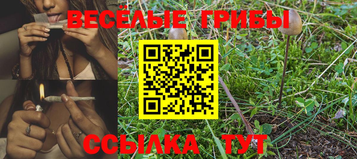 Галлюциногенные грибы ЛСД Нижний Тагил